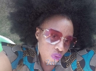 zeehd Faceporno