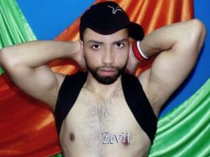 Zevit