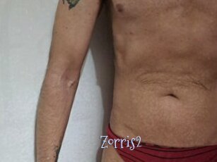 Zorris2